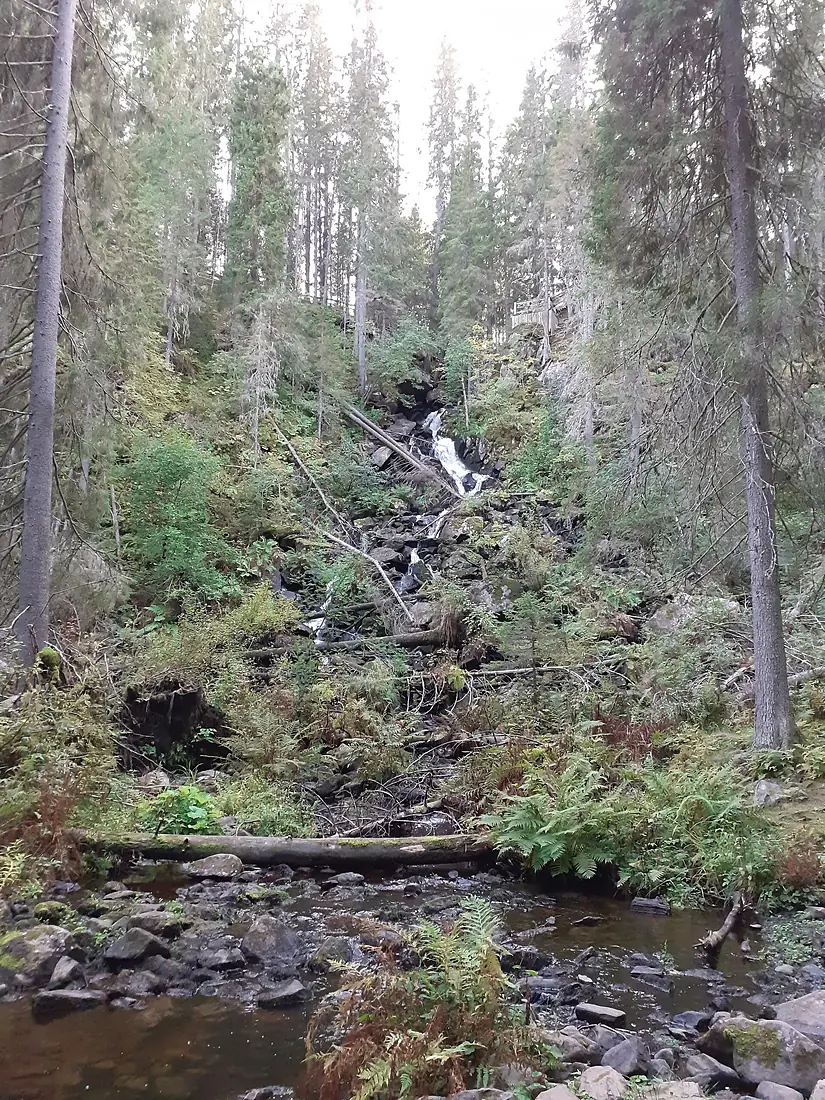 Korkeakoski Tuovilanlahti Maaninka syksy