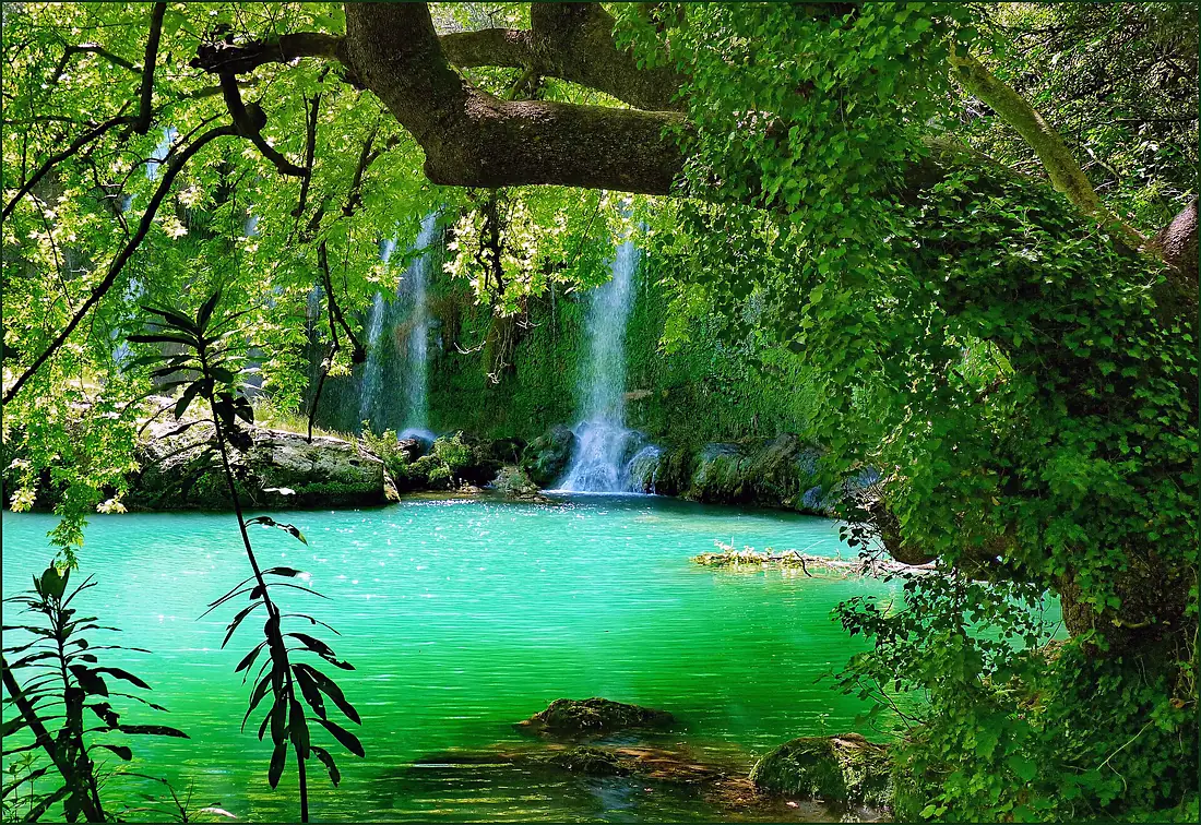 Kursunlu - in the forest - panoramio
