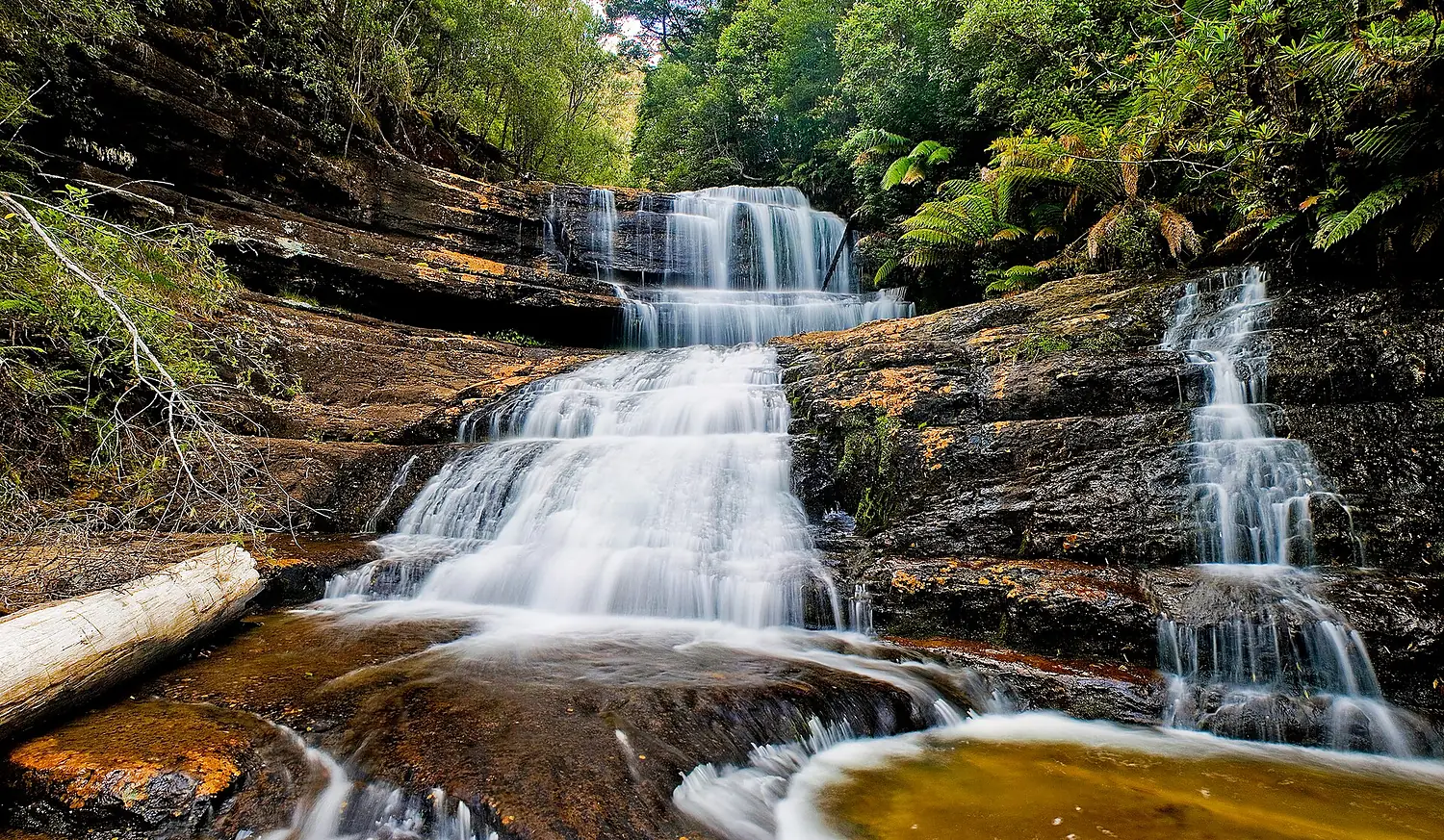 Lady Barron Falls Mt Field National Park