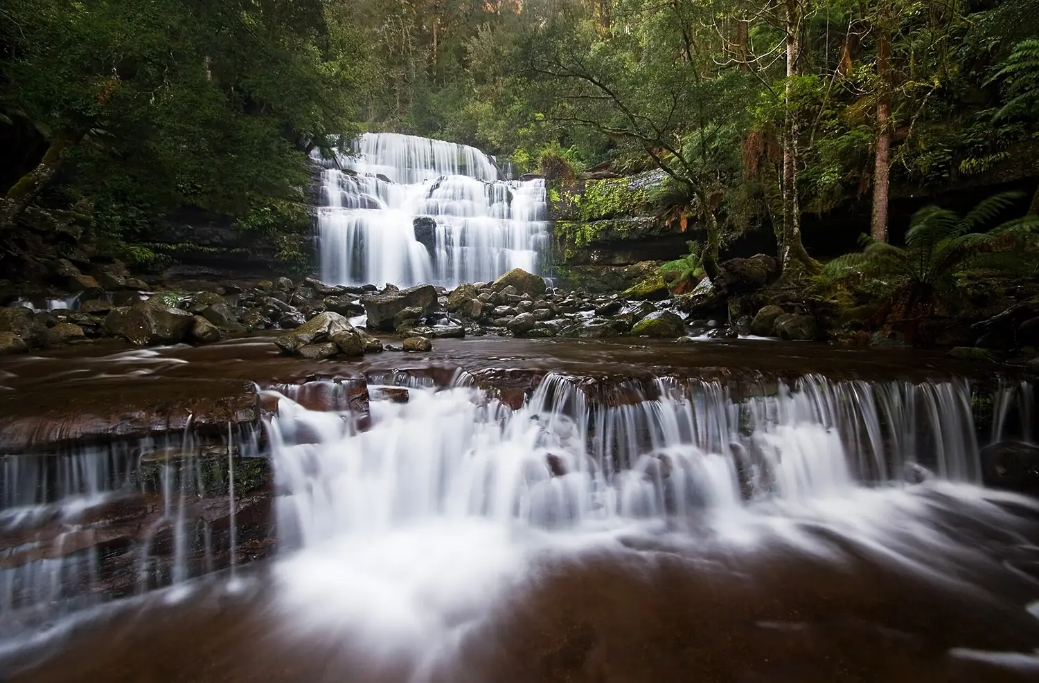 Liffey Falls, Liffey, Tasmania