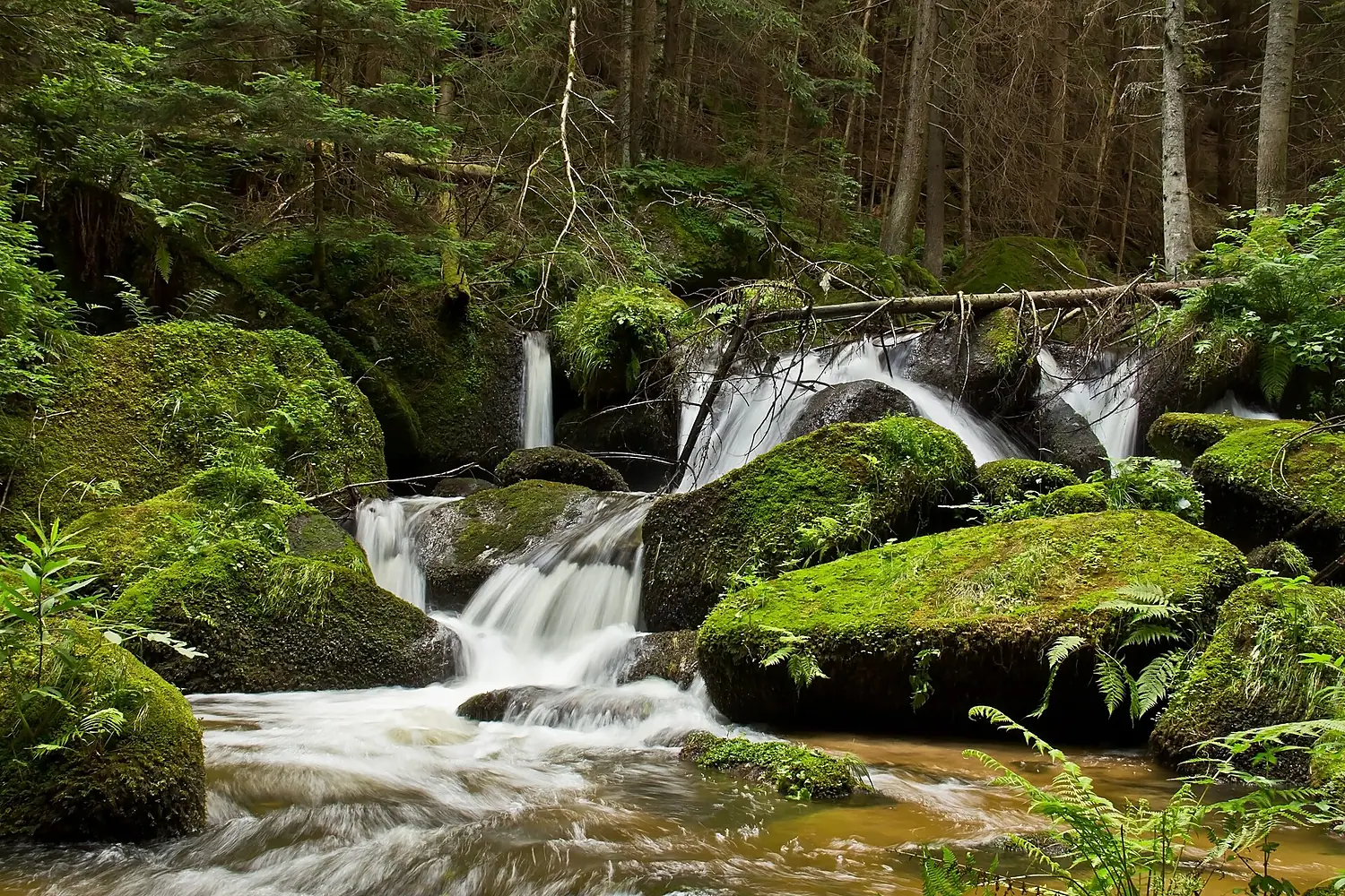 Lohnbachfall bei Schönbach