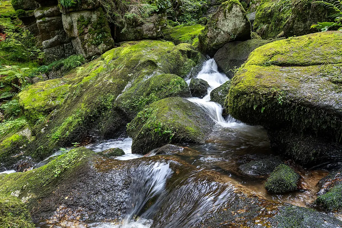 Lohnbachfall 2025 b