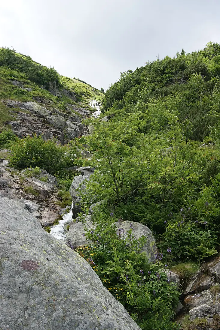 Wodospad - panoramio (3)