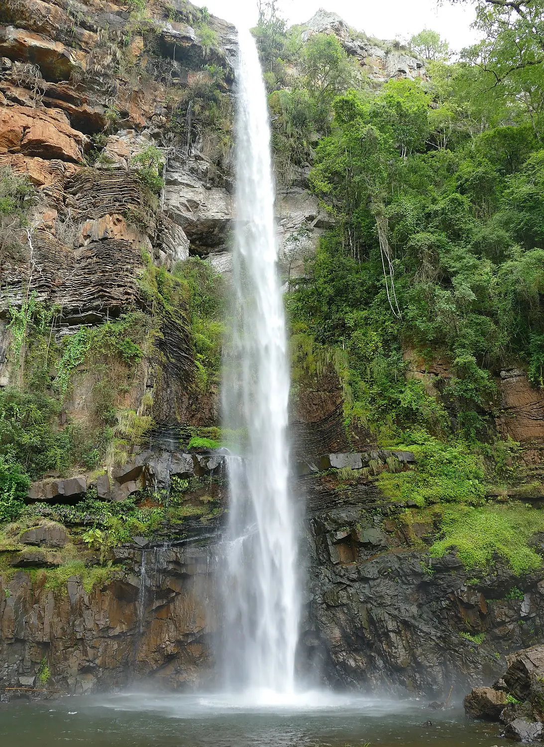 Lone Creek Falls (46047340004)