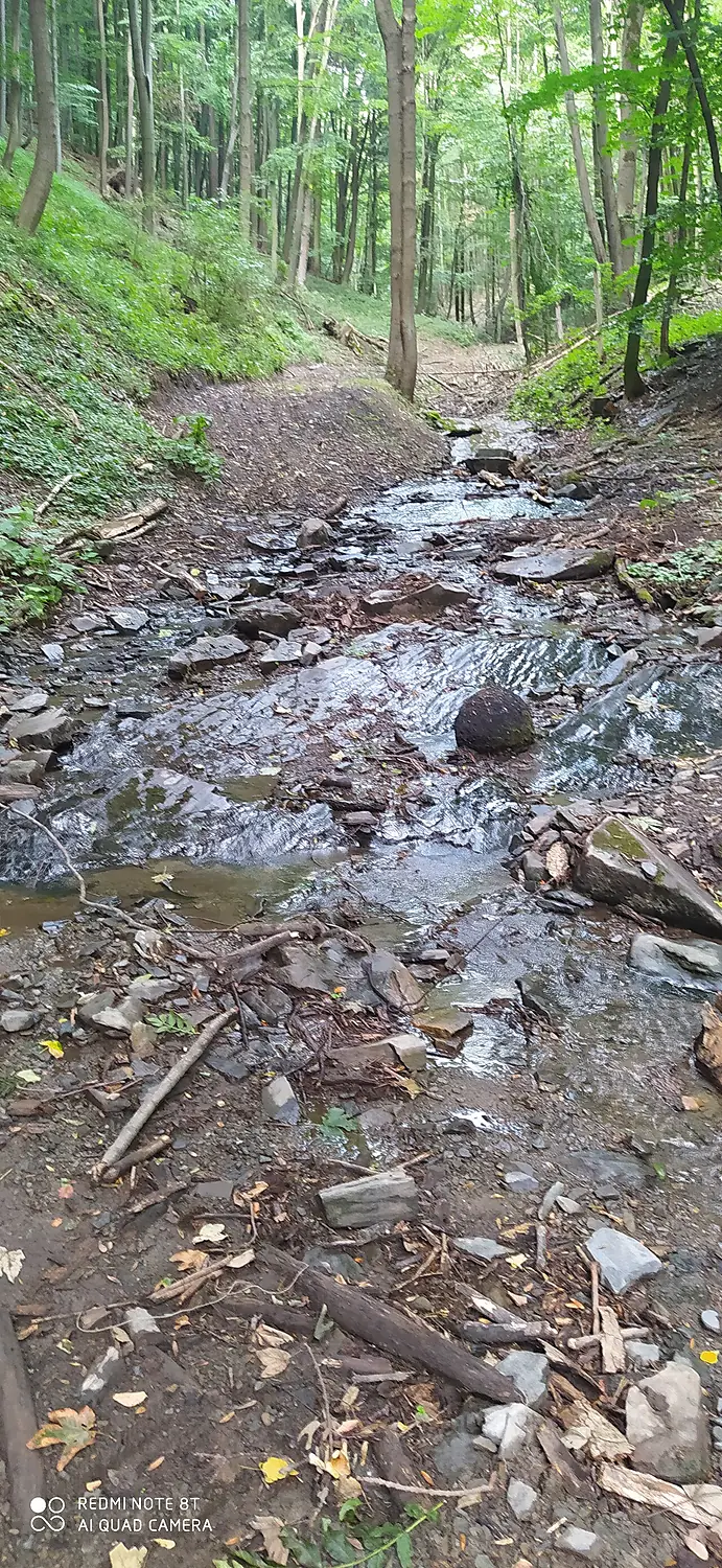 Loučská kakáda, Oderské vrchy