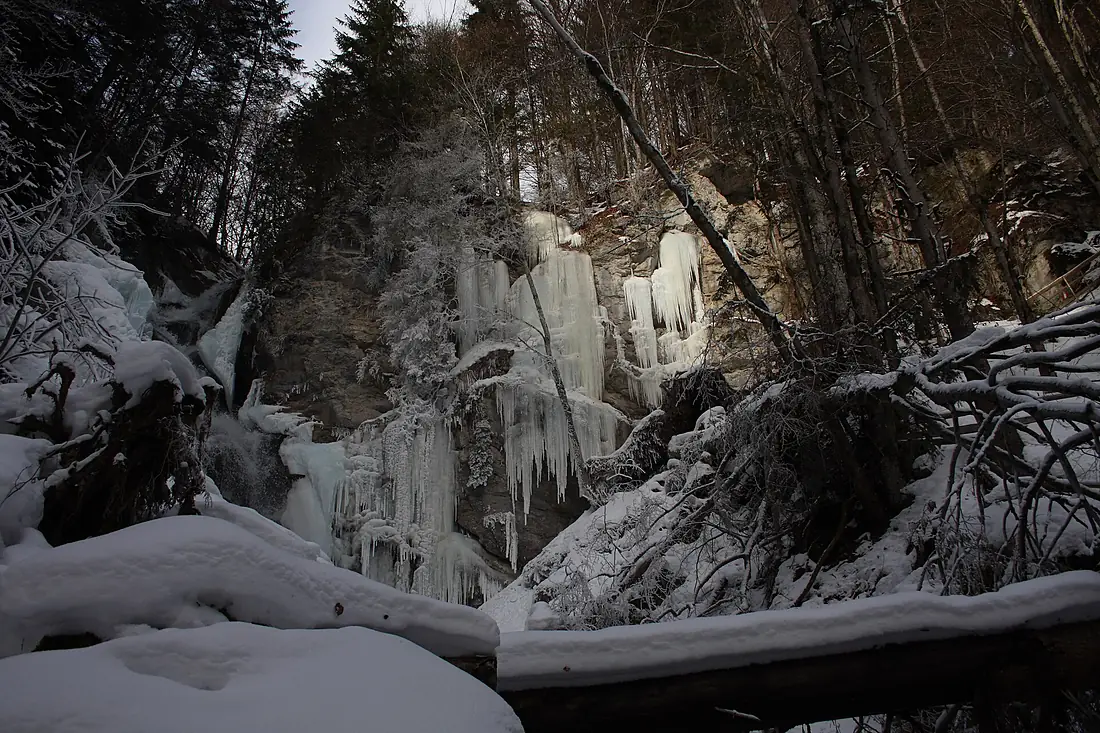 Luserfall 1378 2011-01-06