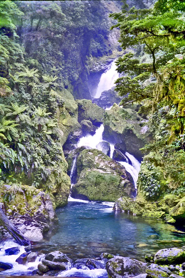 Mackay Falls on Milford Track, New Zealand - panoramio