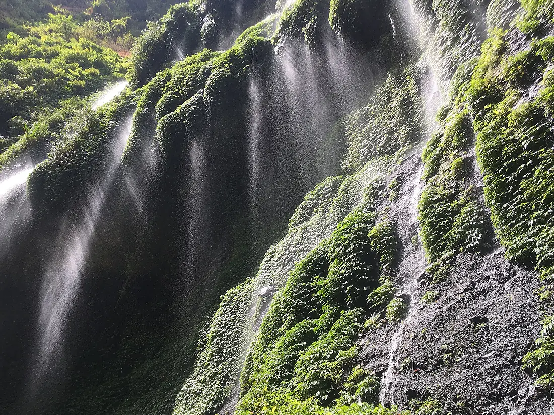 Indonesia Madakaripura Waterfall