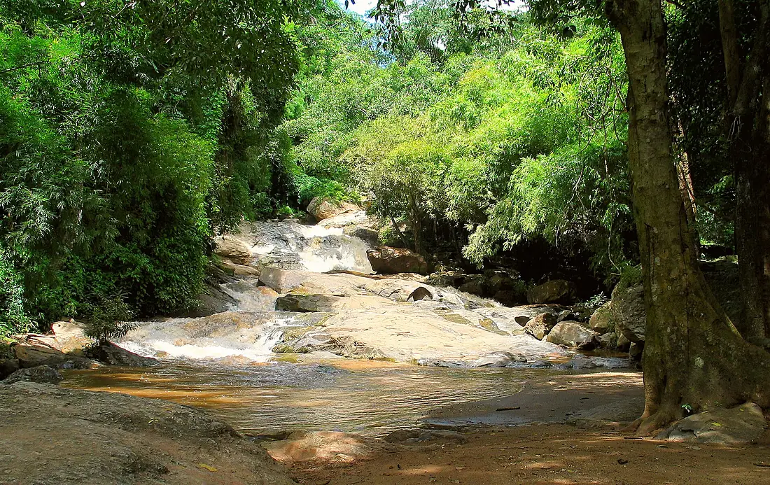 Doisuthepnationalpark0408b