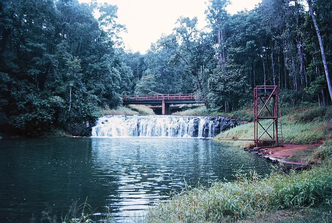 Malanda Falls QUT-7304-1