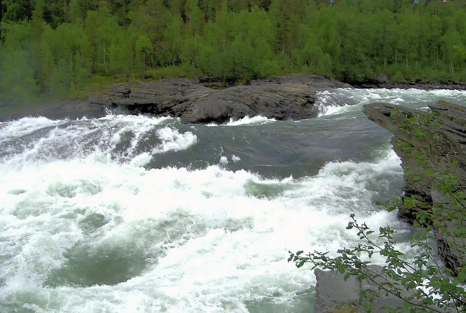 Målselvfossen