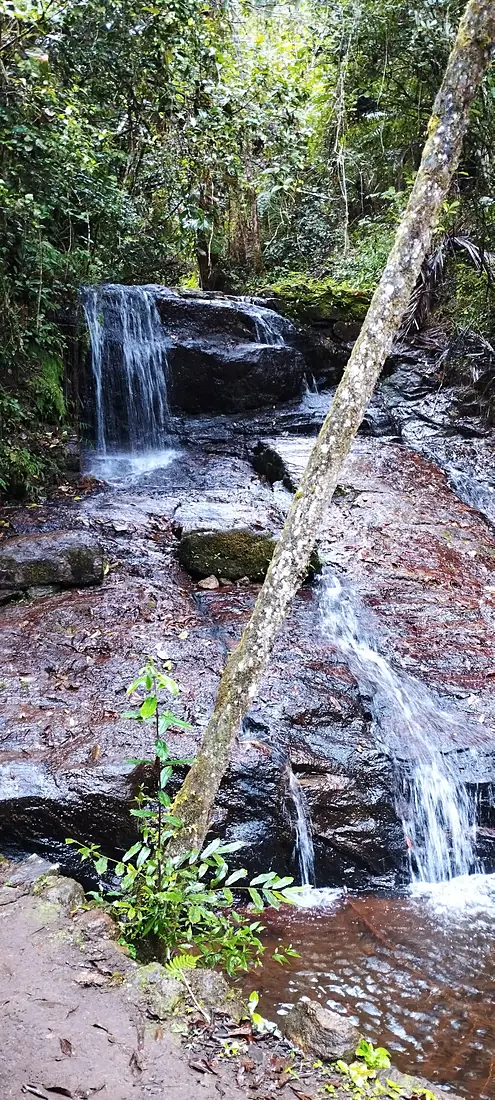 Chute d'eau du Mandraka Park