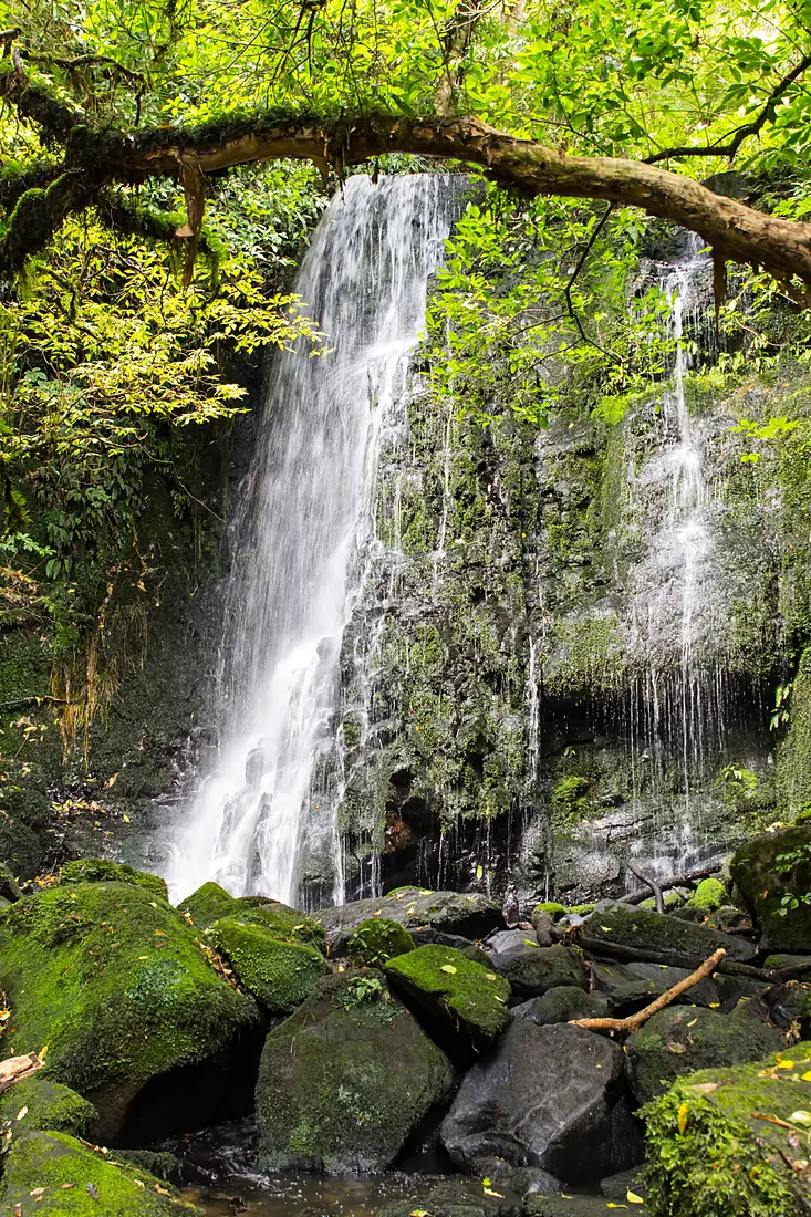 NZ130315 Matai Falls 02