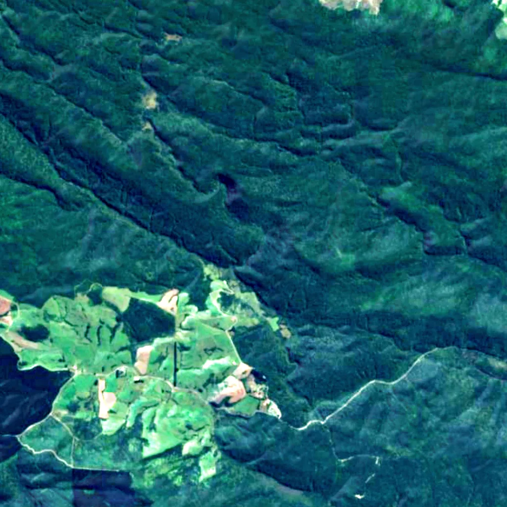 McLean Falls seen from above (Sentinel-2)