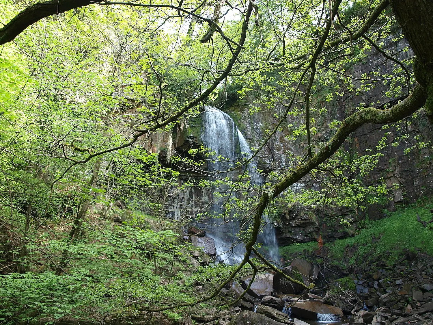 Melincourt Falls Nature Reserve, Wales - 5722692143