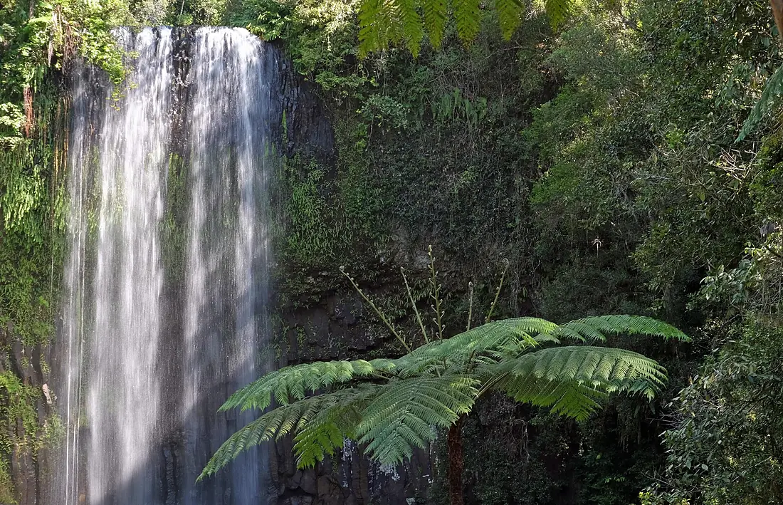 Al green image of Milla Milla Falls, Queensland, Australia taken with Industar 50-2 lens on Fuji X Camera