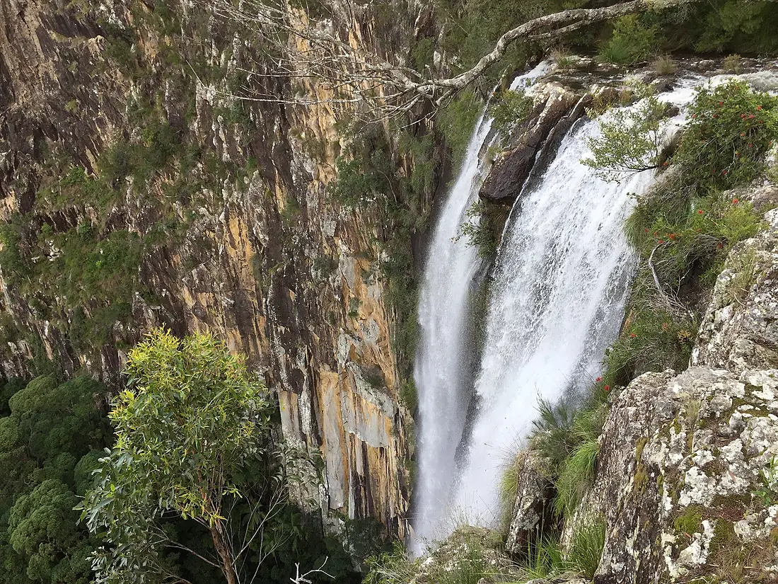 Minyon falls in NSW