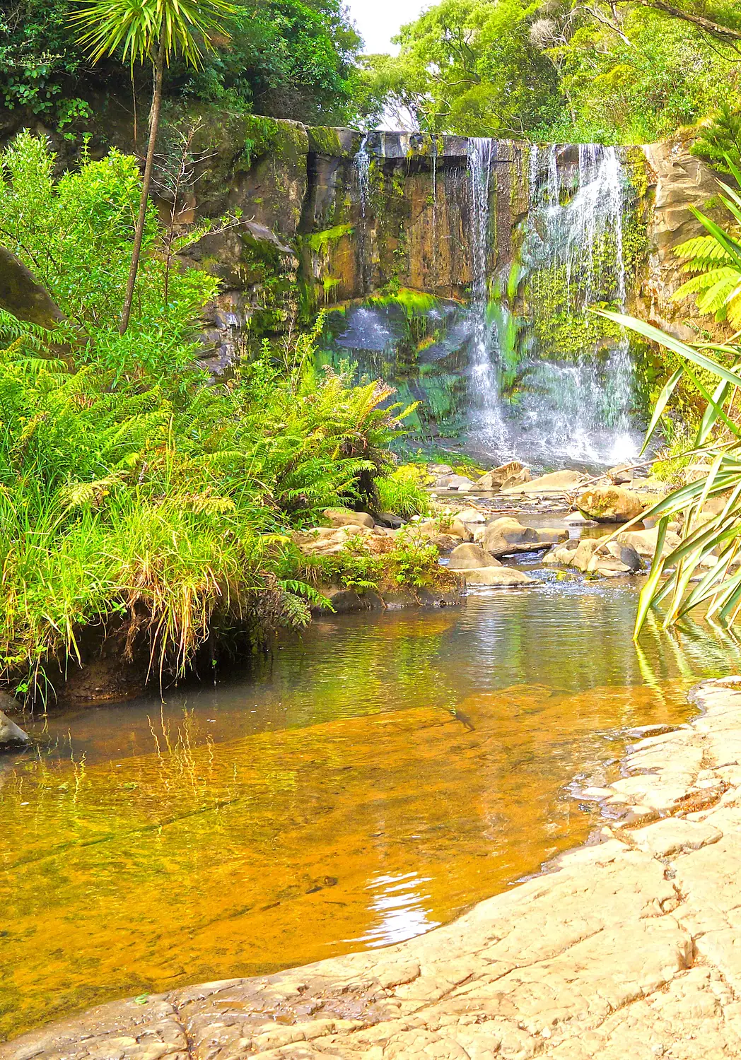 Mokoroa Falls