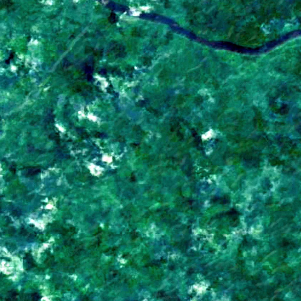 Murrays Fall seen from above (Sentinel-2)