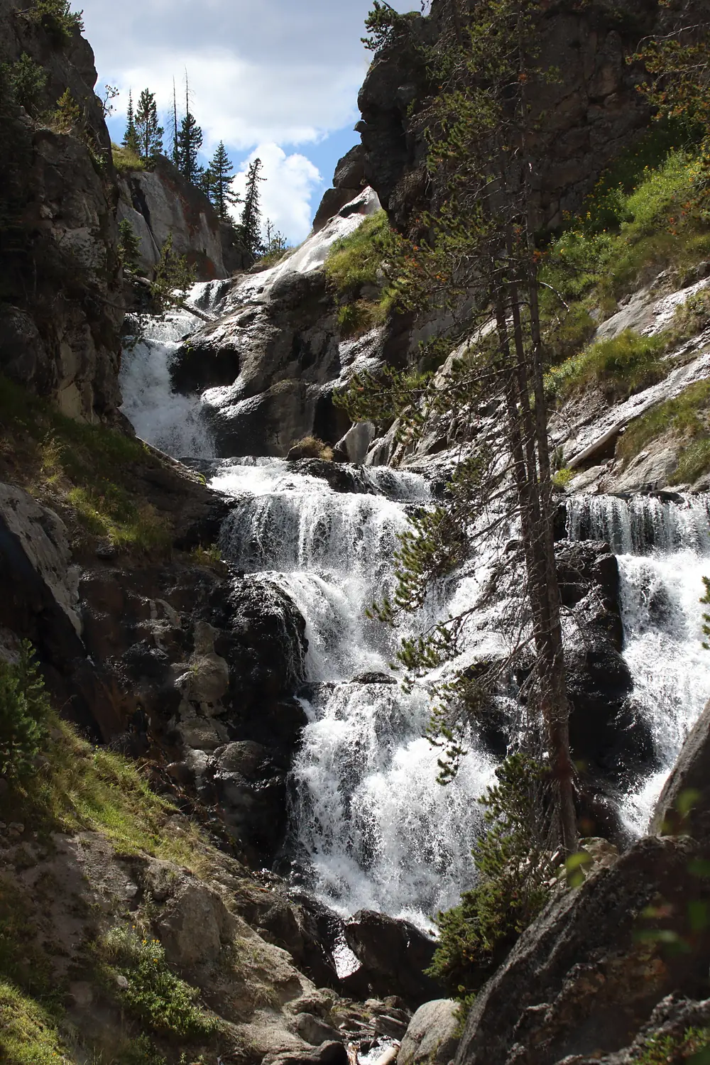 Mystic Falls Yellowstone