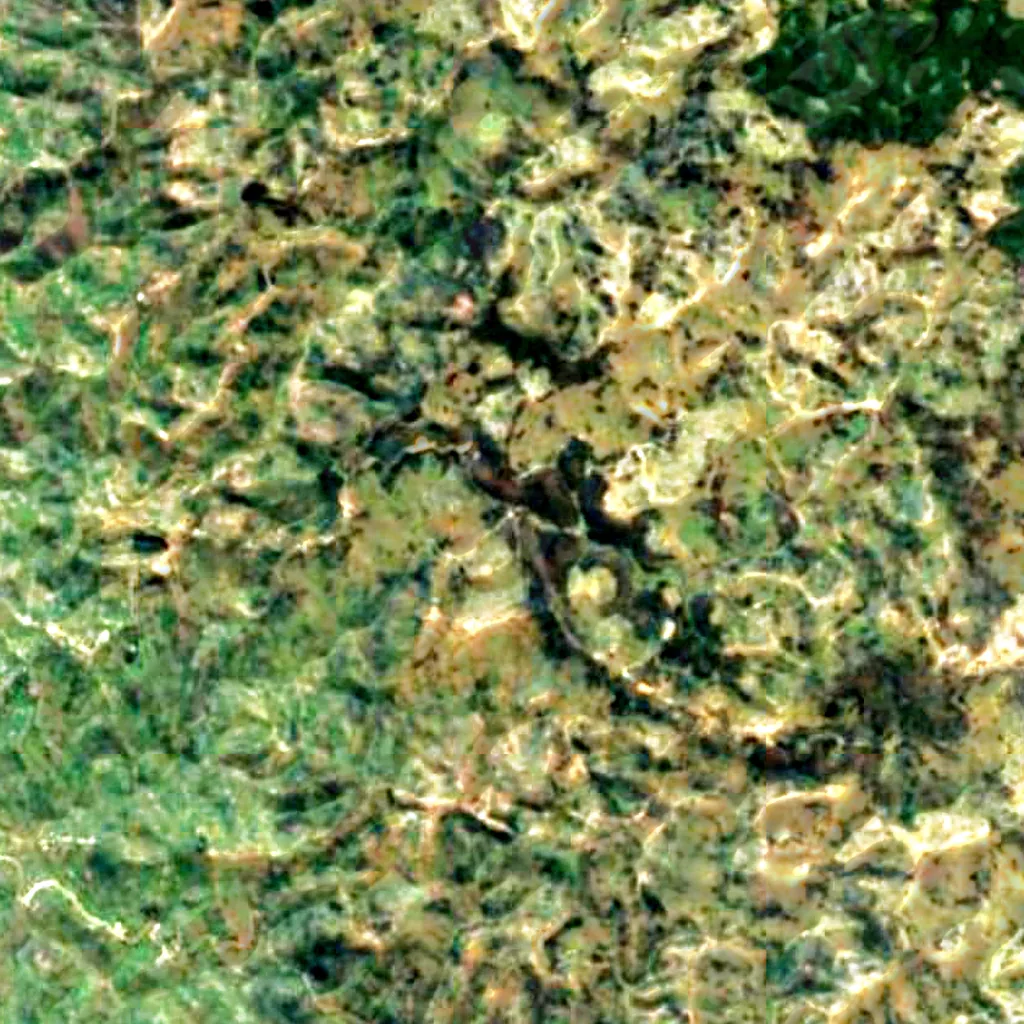 Ndaba Rock seen from above (Sentinel-2)
