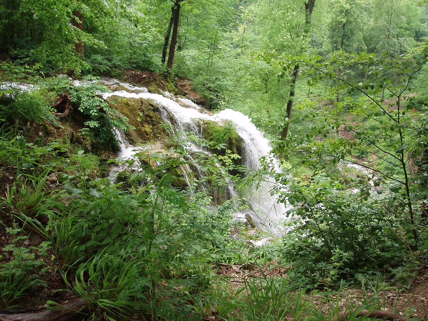 NeidlingenWasserfallvoll