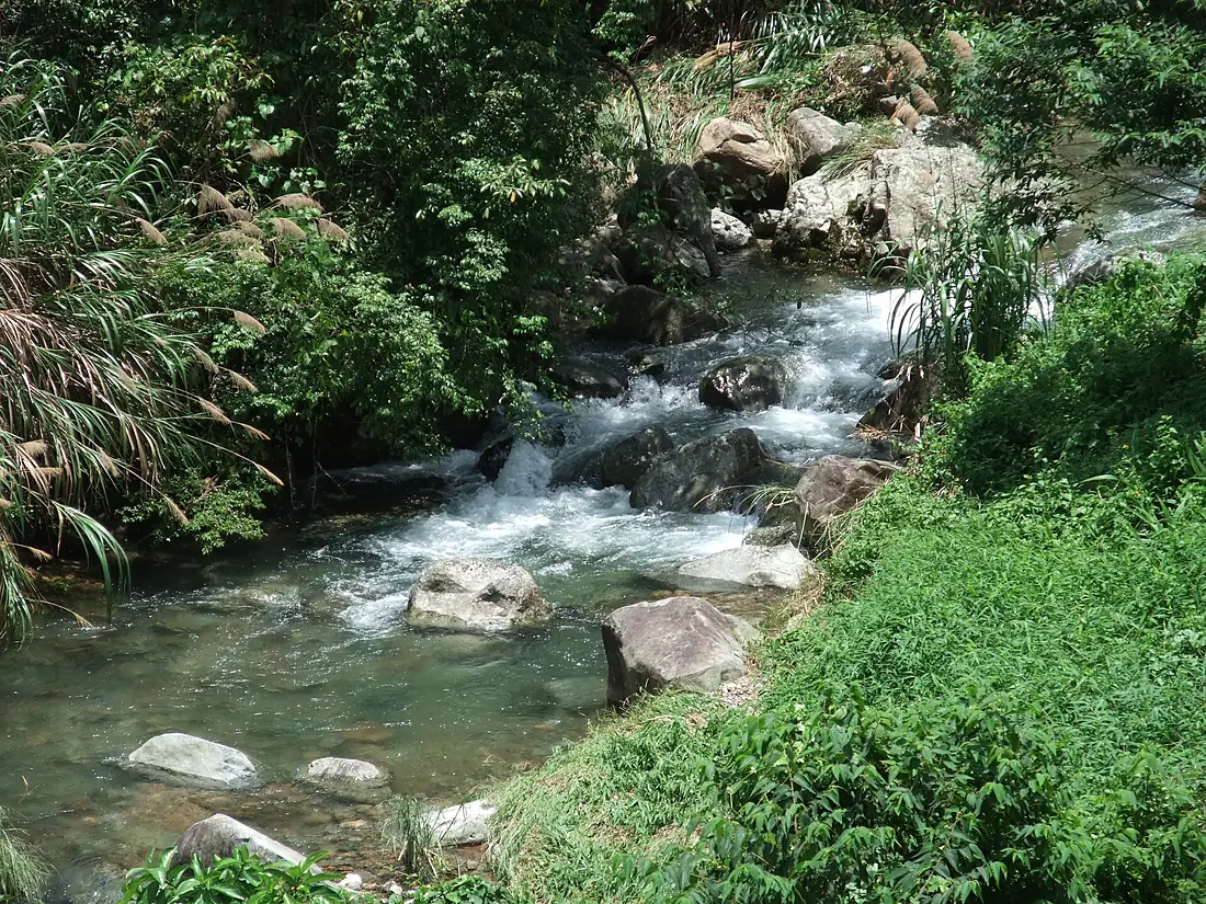 Lam Tsuen River 1