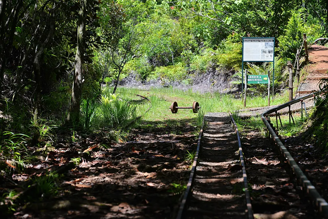 Sleeping track - panoramio