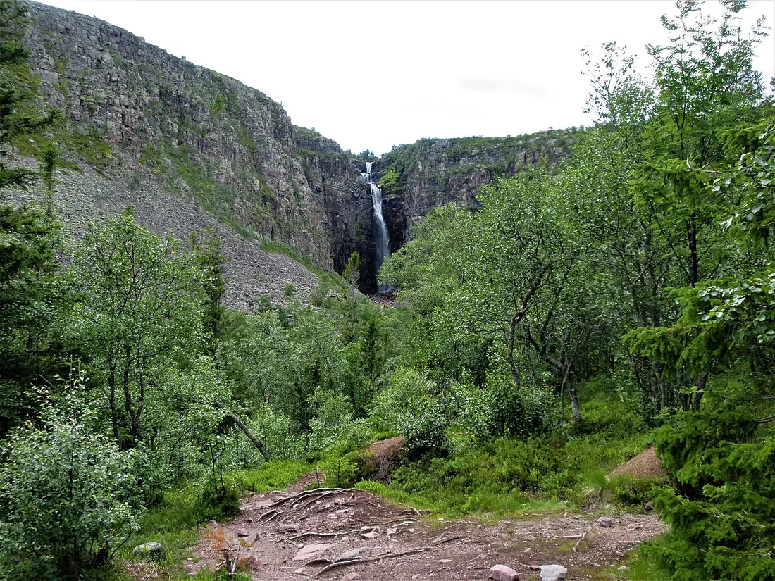 Fulufjällets nationalpark, July 2022 13