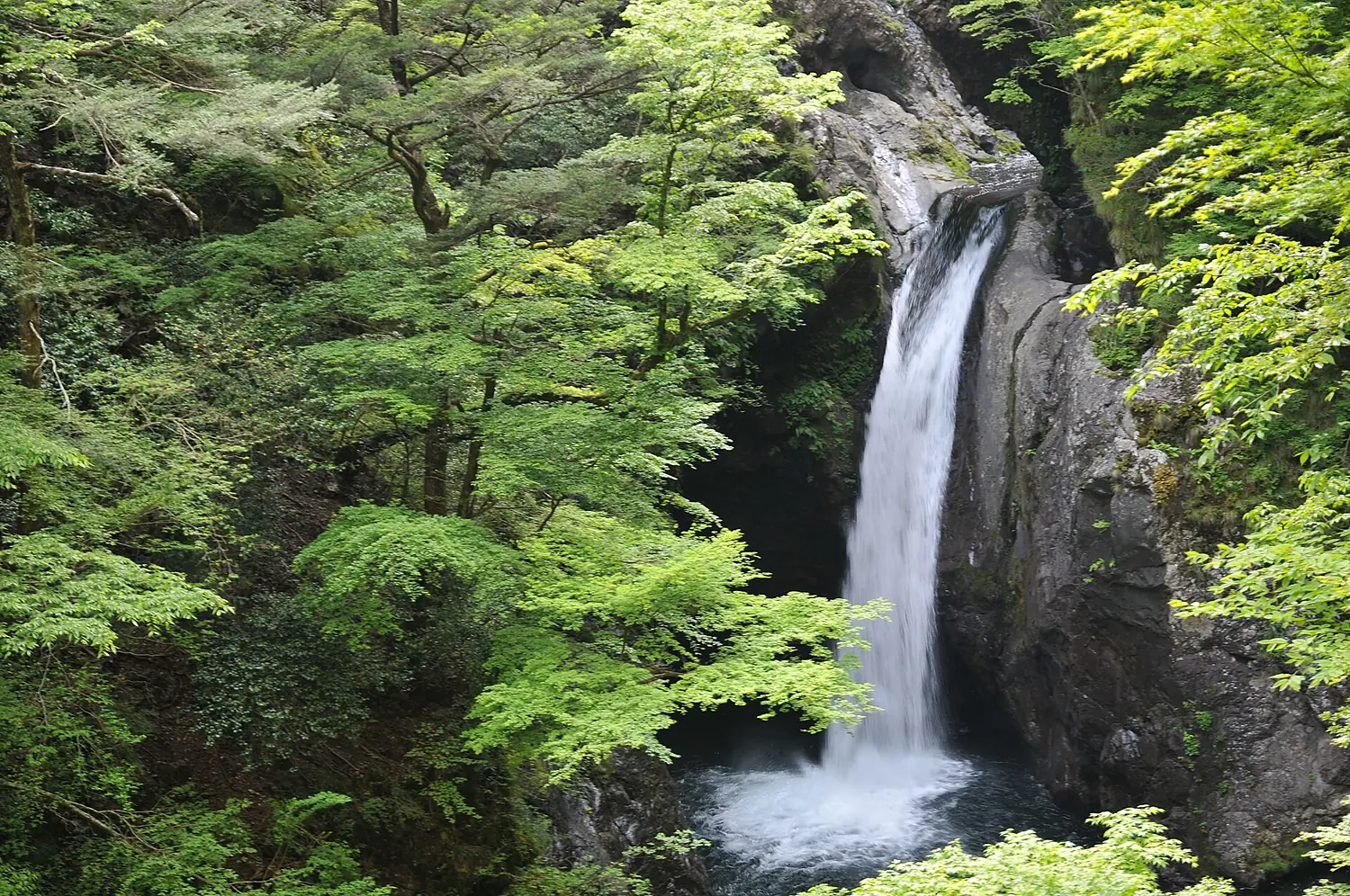 Ogama Falls 01