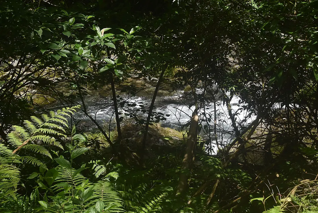 Hiking trail to Ogawa Falls along Ogawa River