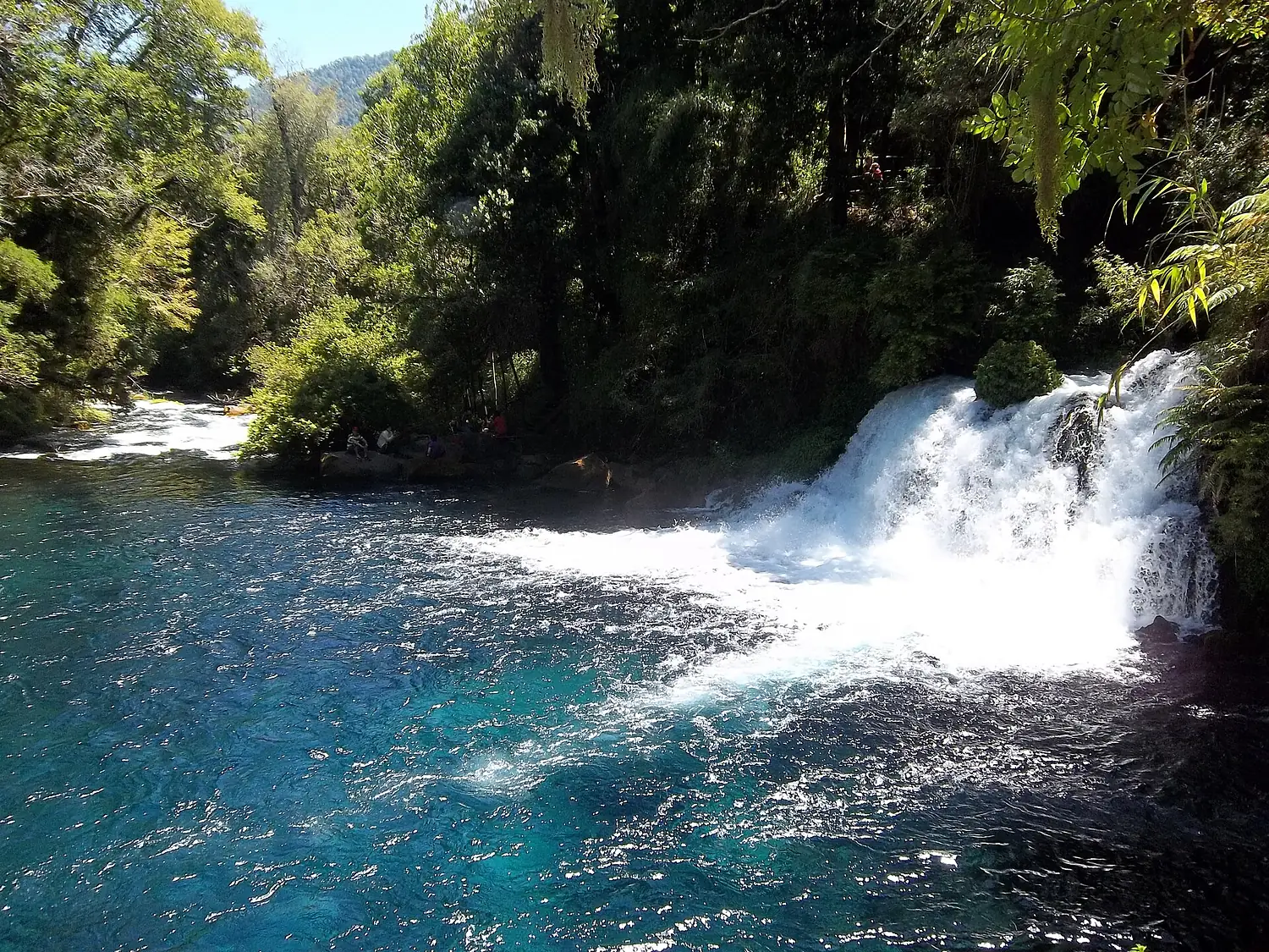 Ojos del Caburgua (cascada y desembocadura)