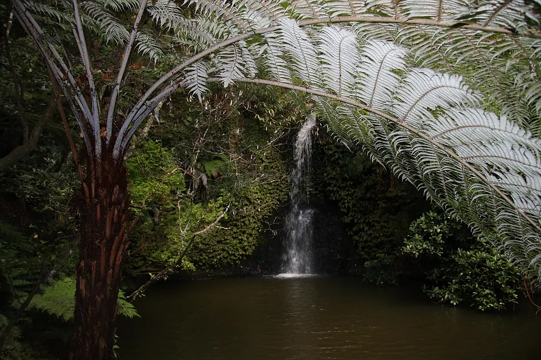 Omeru Falls, Omeru Scenic Reserve (2)