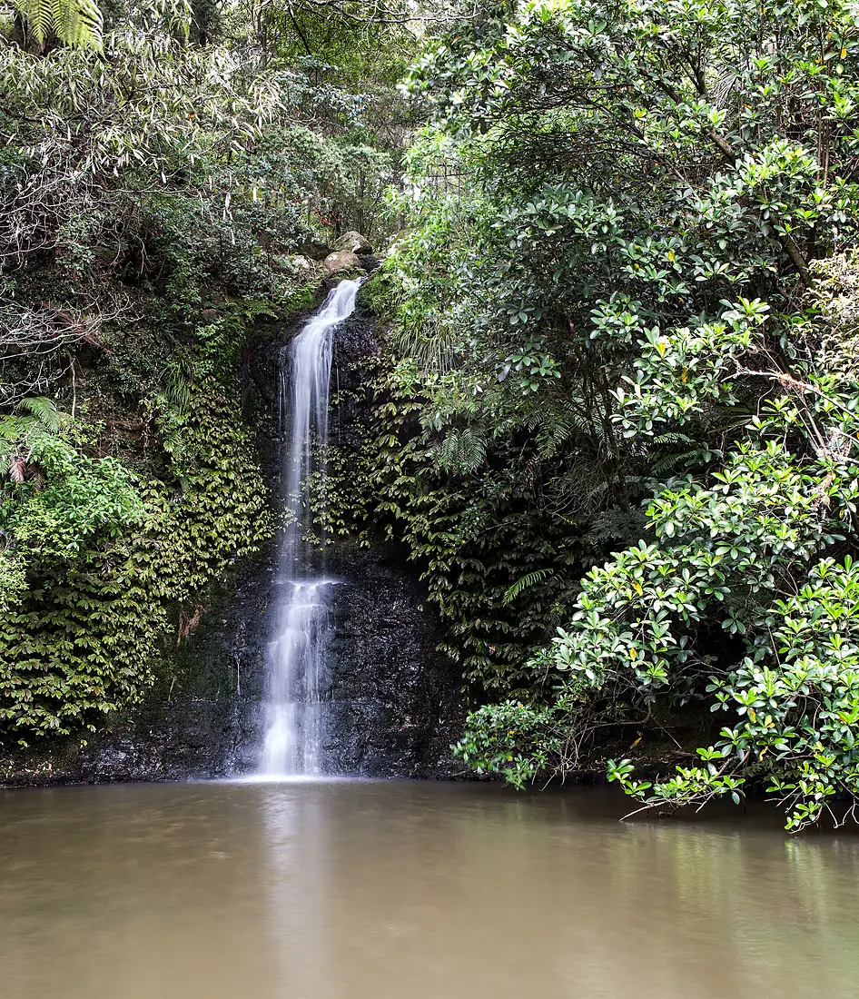Omeru Falls, Omeru Scenic Reserve (3)