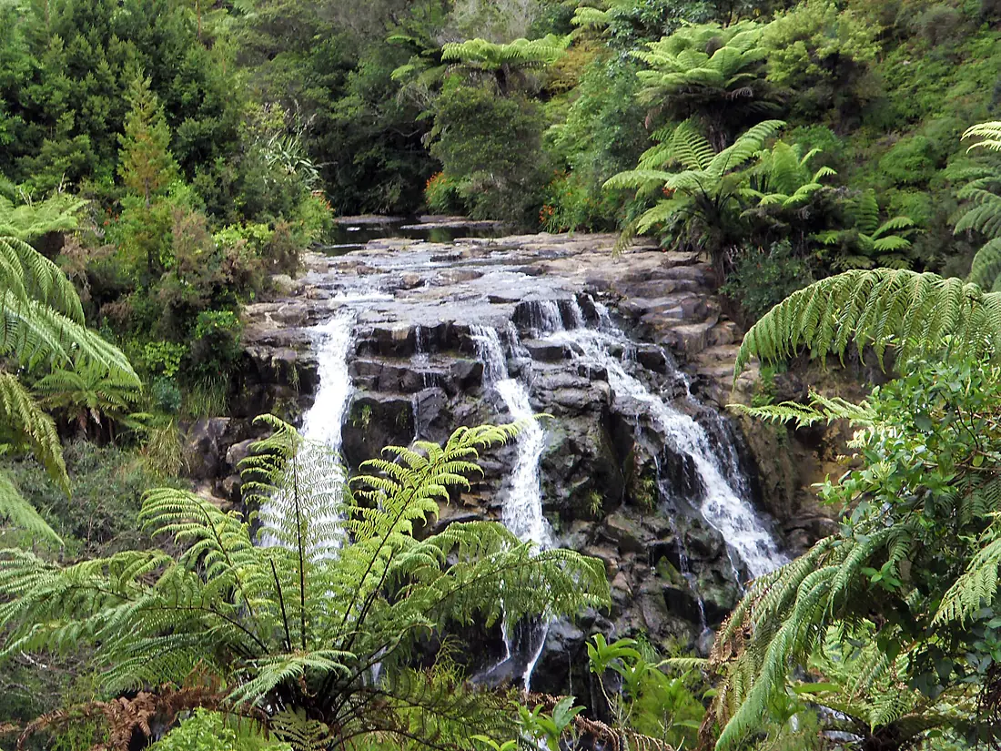 Owharoa Falls - panoramio (976)