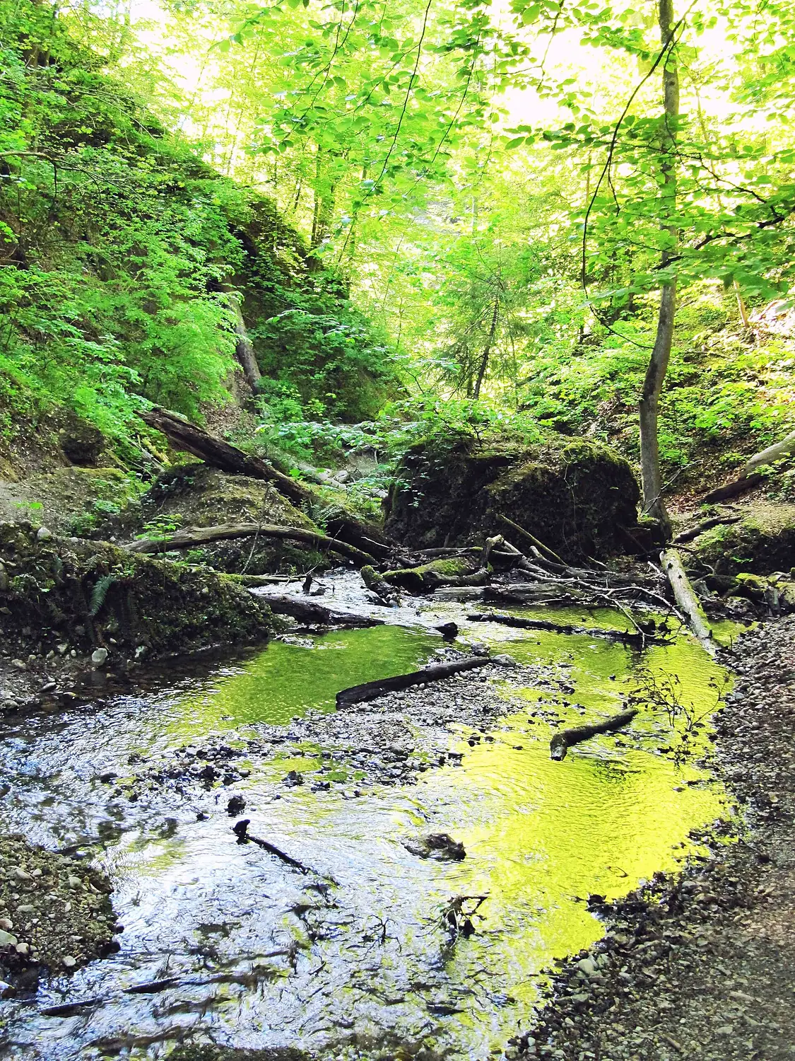 Burgleitenbach Pähler Schlucht
