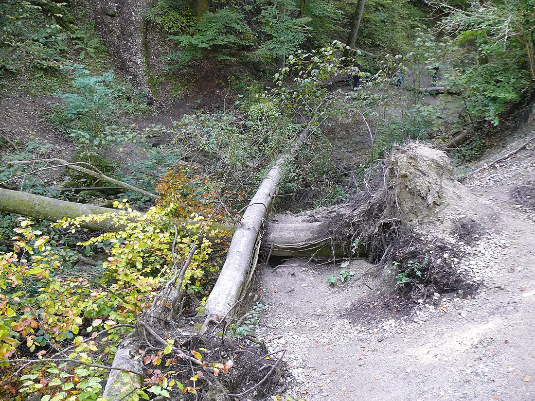 Pähler Schlucht - Erdrutsch 2 (HS)