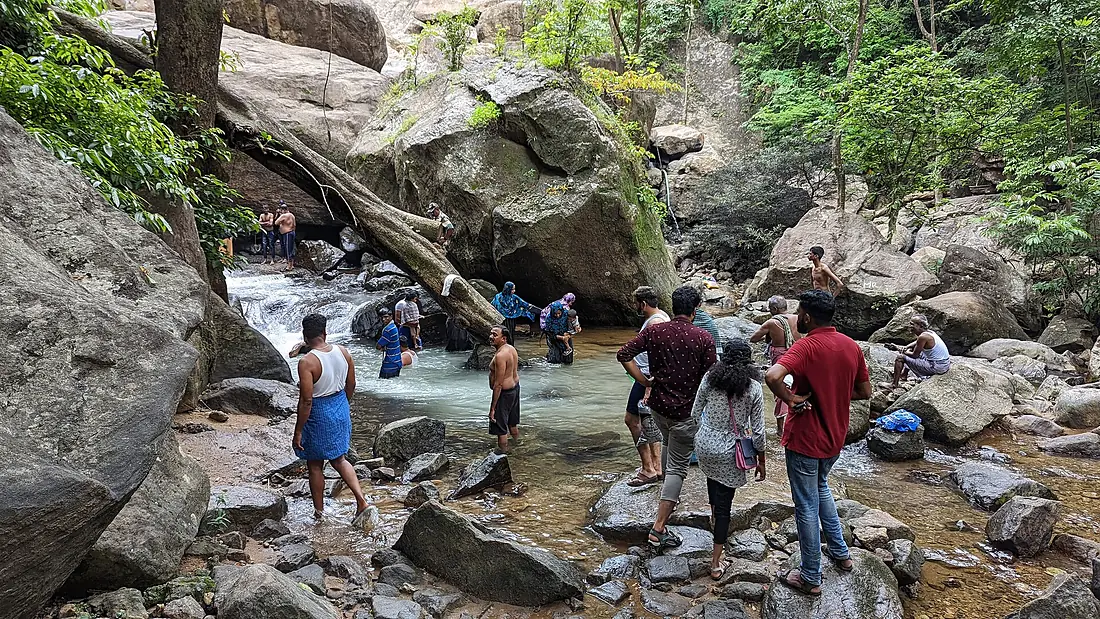 Palaruvi Waterfalls, June 2022 03