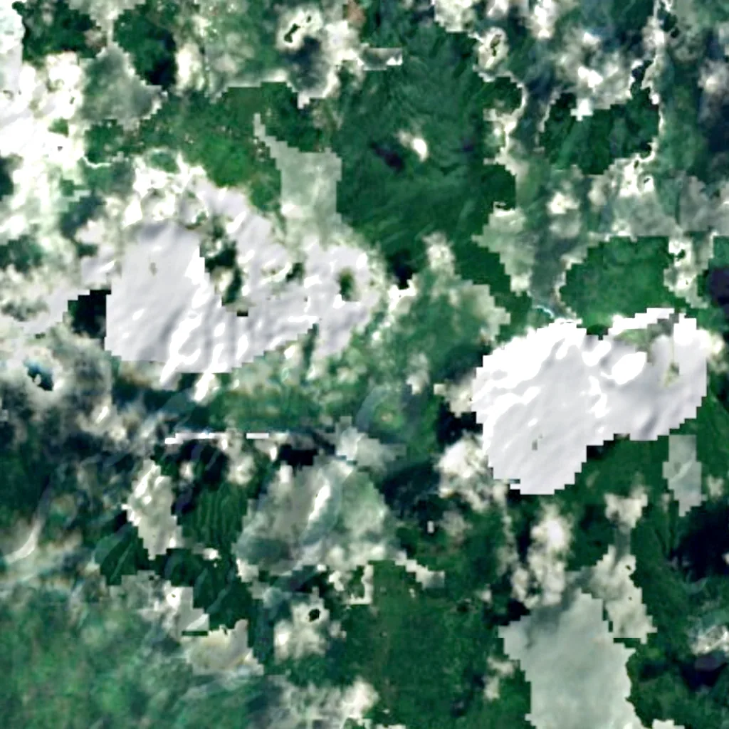 Papapapaitai Falls seen from above (Sentinel-2)