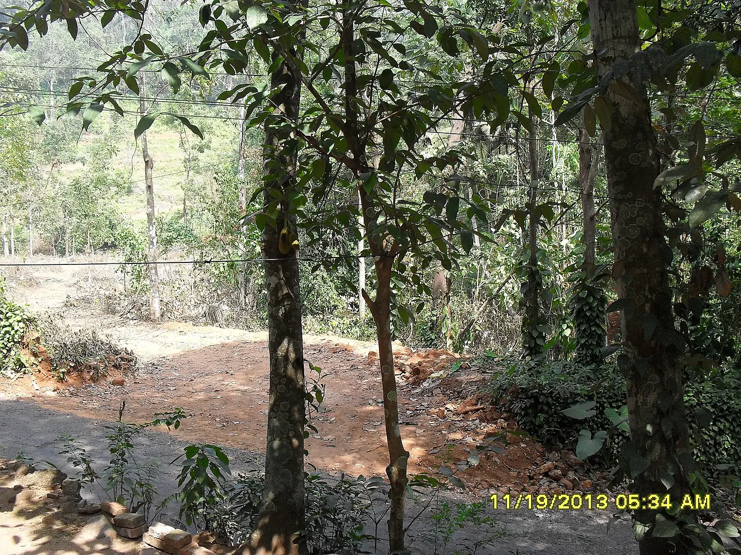 Pathampuzha Road
