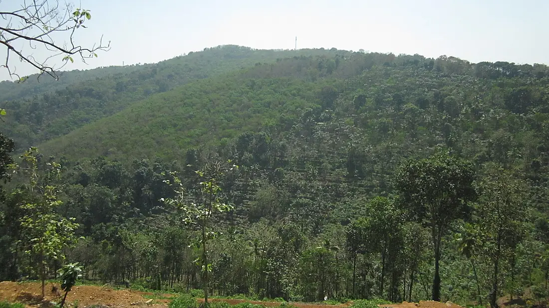 Perunthenaruvi Pathanamthitta (1)
