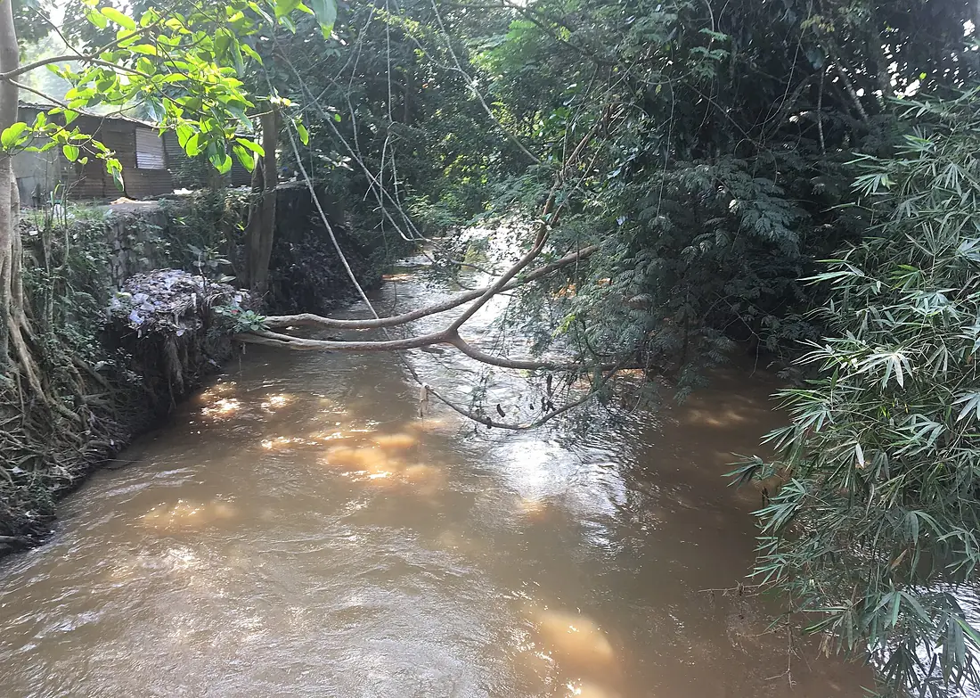 La rivière Lukaya, juste avant le lac Ma Vallée