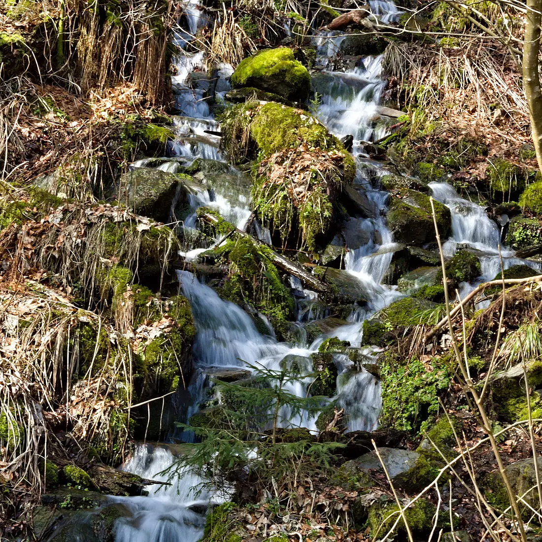 2020-03-15 Wasserfall Plästerlegge (NRW)