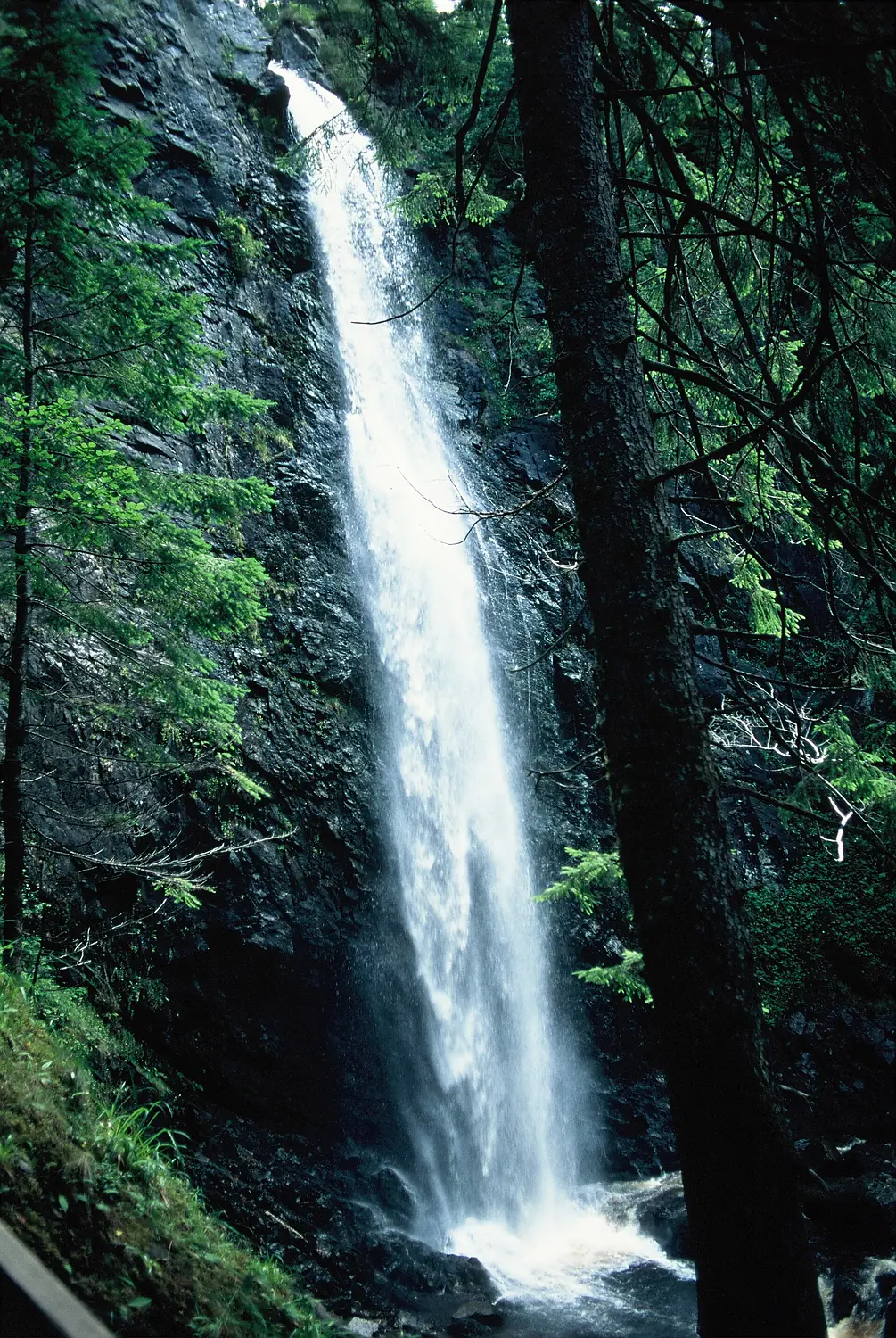 Plodda falls (36619542722)