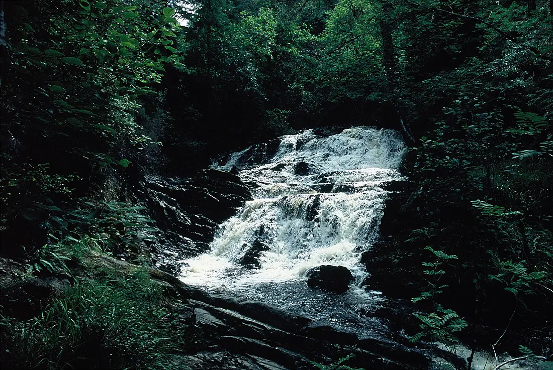 Plodda falls (35980685303)
