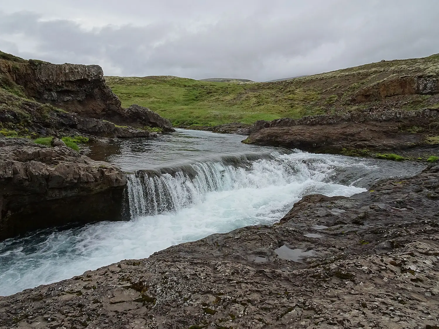 Pokafoss2016