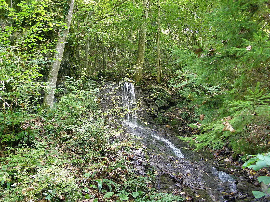 Lug- Kuziy - panoramio