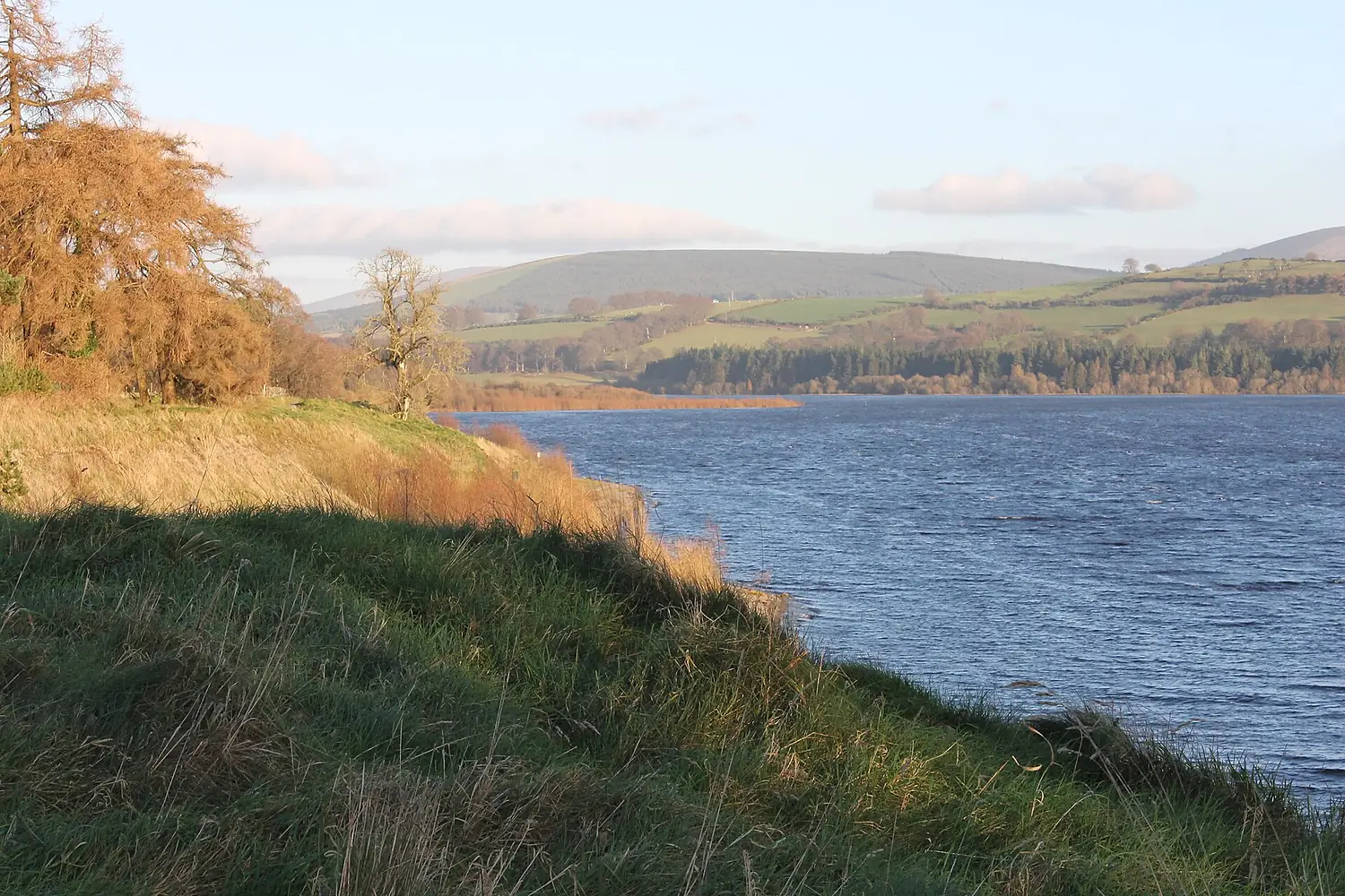 Dec2025. Poulaphouca Reservoir, County Wicklow, Ireland 01