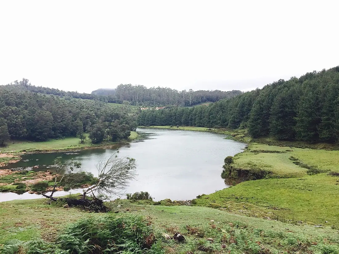 Pykara River in 2017