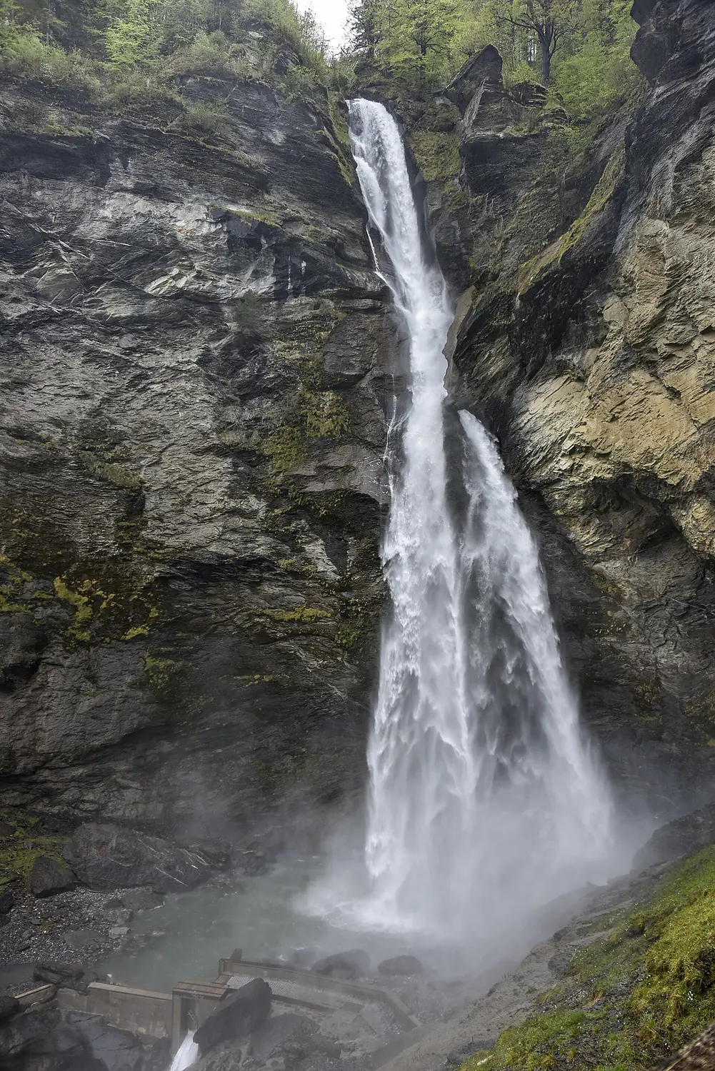 Schattenhalb Reichenbachfall 7-05-2024 10-56-28